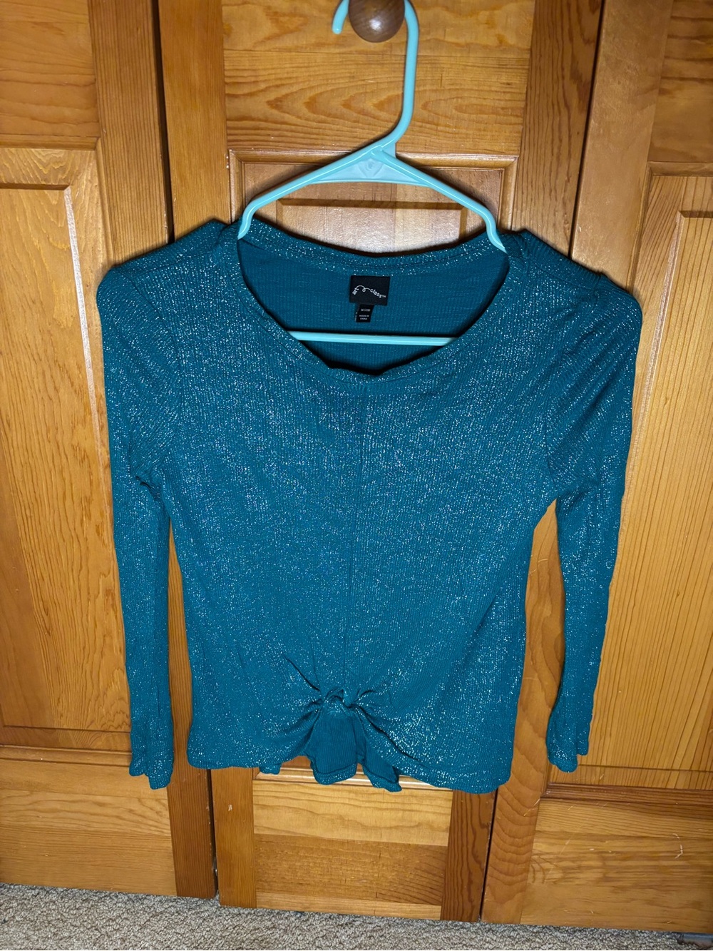art class Teal Shimmery Long Sleeve Tie-Front Top